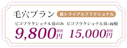 毛穴プラン