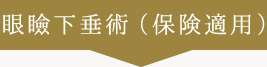 眼瞼下垂術（保険適用）