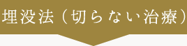 埋没法（切らない治療）